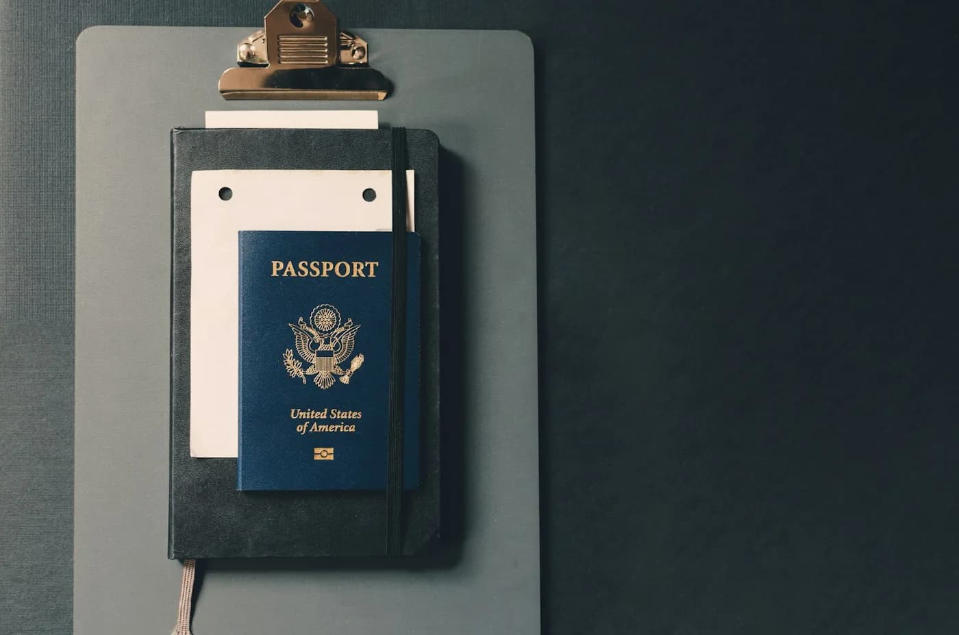 Passport and travel document pages
