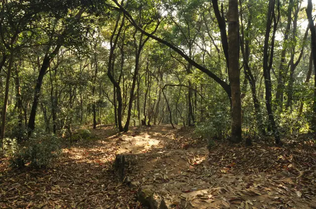 Shivapuri Nagarjun National Park picnic spot